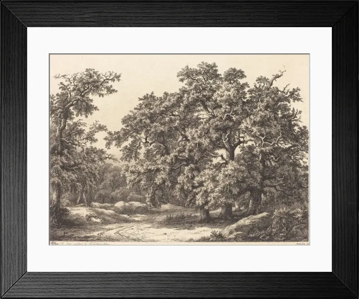 Framed Print : Oaks, 1840. Creator: Eugene Blery Framed Print : Oaks, 1840. Creator: Eugene Blery