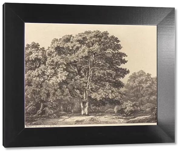Entrance to a Forest, 1840. Creator: Eugene Blery