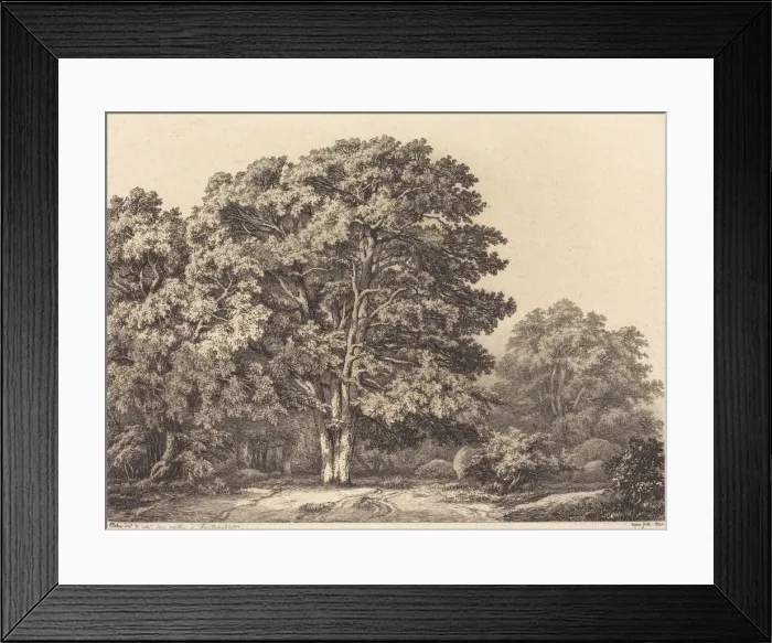 Framed Print : Entrance to a Forest, 1840. Creator: Eugene Blery Framed Print : Entrance to a Forest, 1840. Creator: Eugene Blery