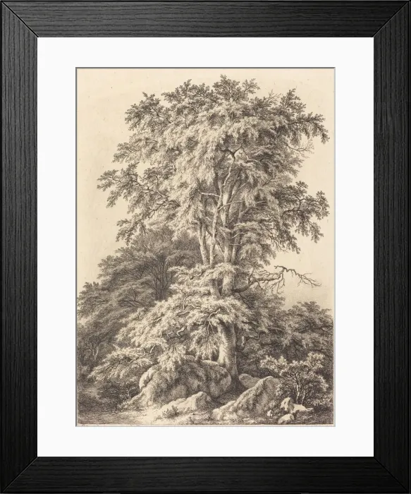 Framed Print : Beech Grove, 1840. Creator: Eugene Blery Framed Print : Beech Grove, 1840. Creator: Eugene Blery