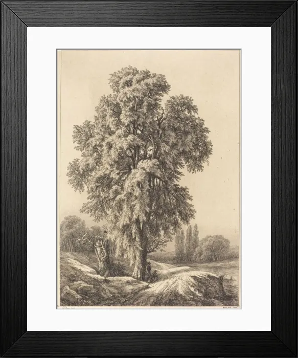 Framed Print : The Elm Tree, 1840. Creator: Eugene Blery Framed Print : The Elm Tree, 1840. Creator: Eugene Blery