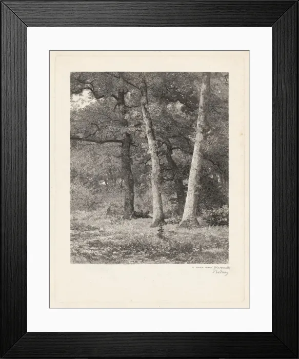 Framed Print : A Forest Clearing. Creator: Karl Bodmer Framed Print : A Forest Clearing. Creator: Karl Bodmer