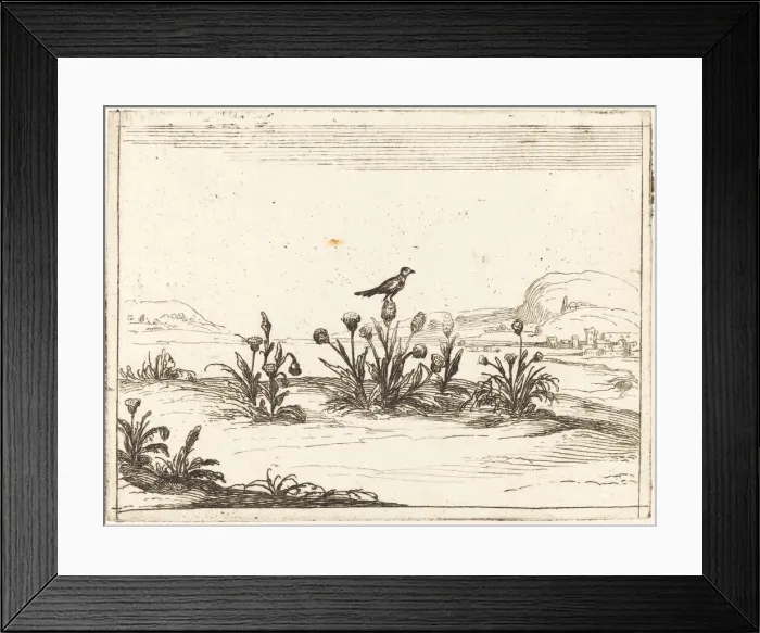 Framed Print : Bird Perched on a Thistle, 1628. Creator: Jacques Callot Framed Print : Bird Perched on a Thistle, 1628. Creator: Jacques Callot