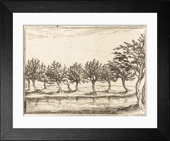 Framed Print : Willows by the Waters Edge, 1628. Creator: Jacques Callot Framed Print : Willows by the Waters Edge, 1628. Creator: Jacques Callot