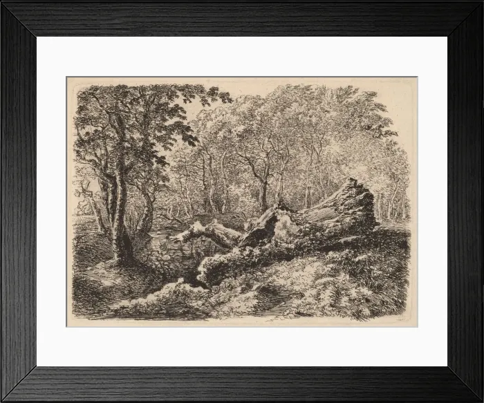 Framed Print : Mouldering Tree Trunk, 1794. Creator: Johann Georg von Dillis