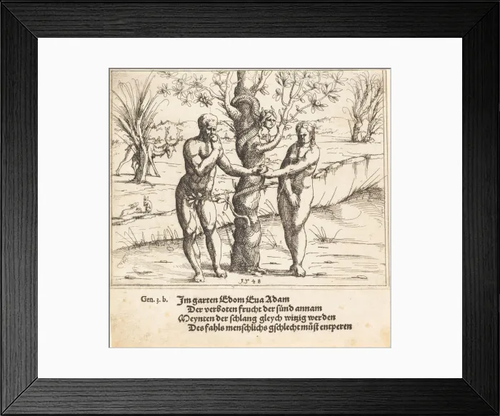 Framed Print : The Fall of Man, 1548. Creator: Augustin Hirschvogel Framed Print : The Fall of Man, 1548. Creator: Augustin Hirschvogel