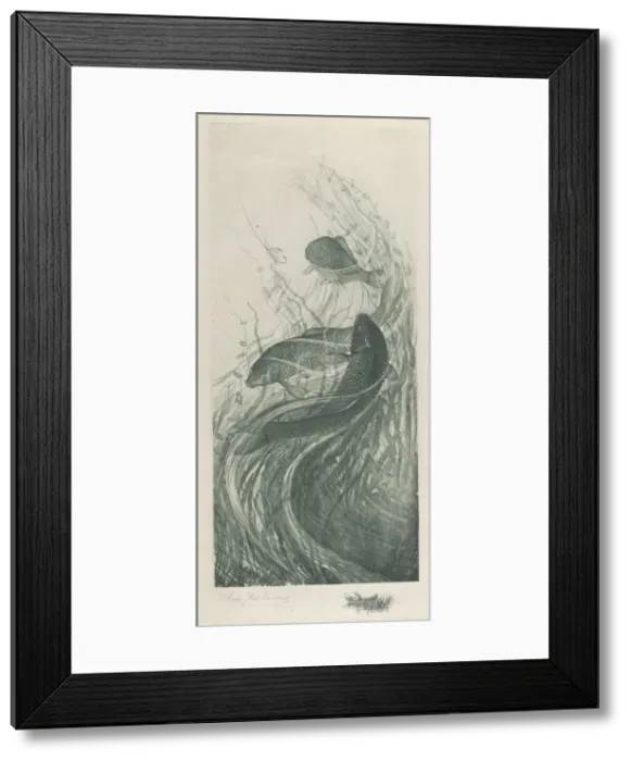 Framed Print : Temptation, 1887. Creator: Charles Frederick William Mielatz