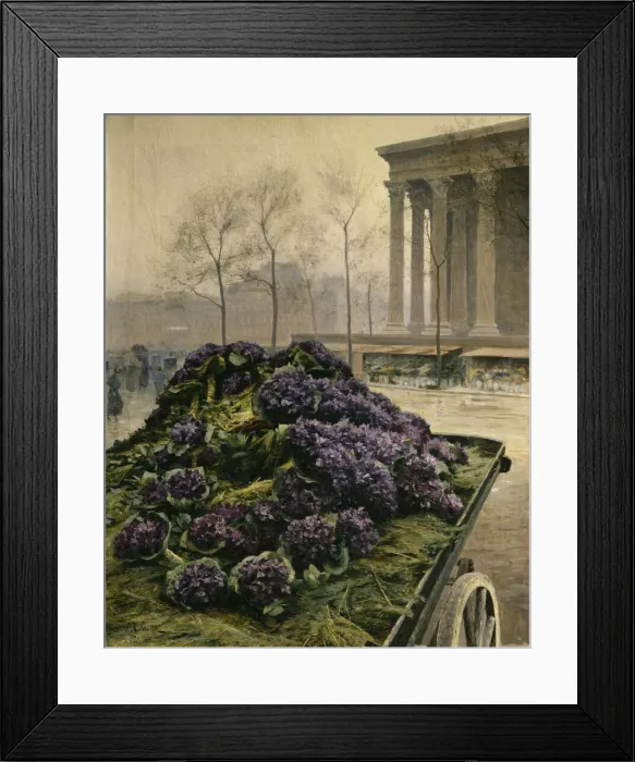 Framed Print : Violets from Nice, 1902. Creator: Krachkovsky, Iosiph Evstafievich (1854-1914) Framed Print : Violets from Nice, 1902. Creator: Krachkovsky, Iosiph Evstafievich (1854-1914)