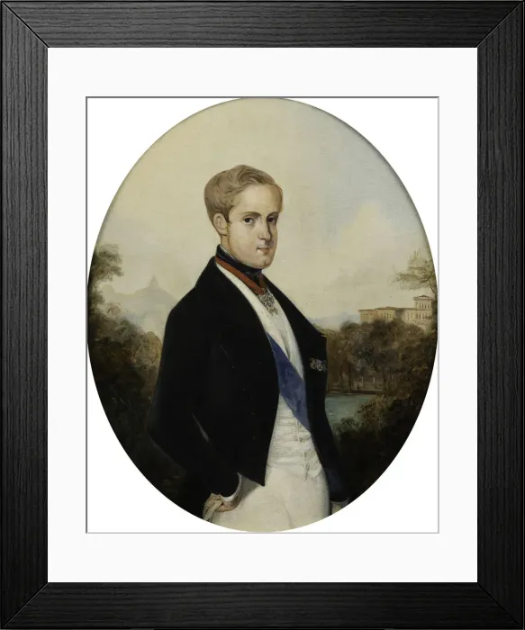 Framed Print : Portrait of Emperor Peter II of Brazil (1825-1891), 1846 Framed Print : Portrait of Emperor Peter II of Brazil (1825-1891), 1846