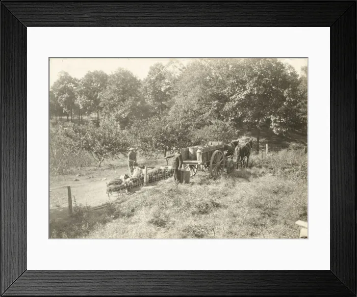 Framed Print : Untitled, ca. 1935. Creator: Lewis Wickes Hine Framed Print : Untitled, ca. 1935. Creator: Lewis Wickes Hine