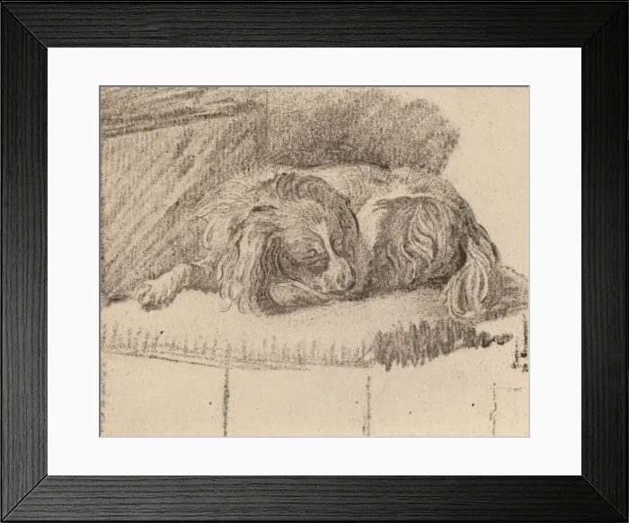 Framed Print : Lying Dog, 1777. Creator: Cornelis Brouwer Framed Print : Lying Dog, 1777. Creator: Cornelis Brouwer