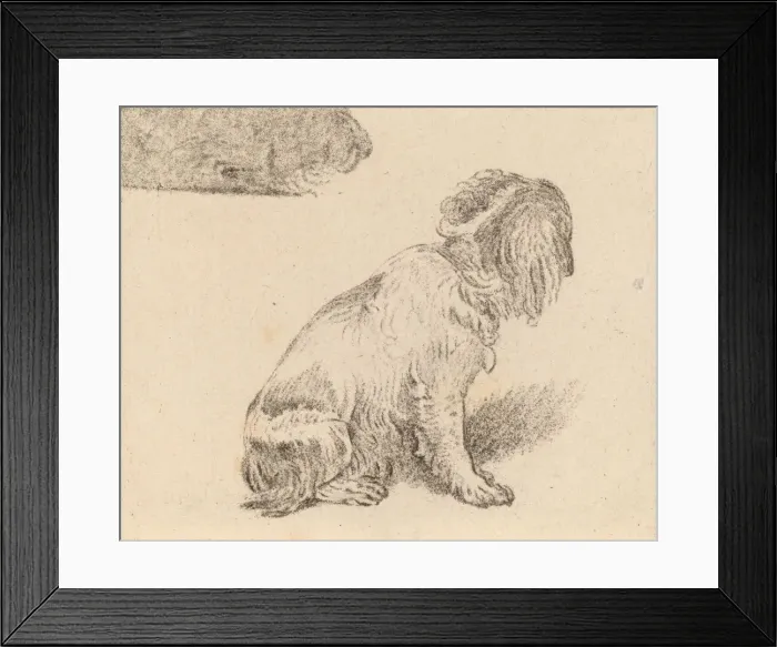 Framed Print : Seated Dog, 1777. Creator: Cornelis Brouwer Framed Print : Seated Dog, 1777. Creator: Cornelis Brouwer