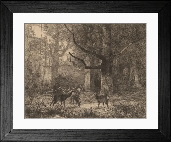 Framed Print : Foret de Fontainebleau. Creator: Karl Bodmer Framed Print : Foret de Fontainebleau. Creator: Karl Bodmer