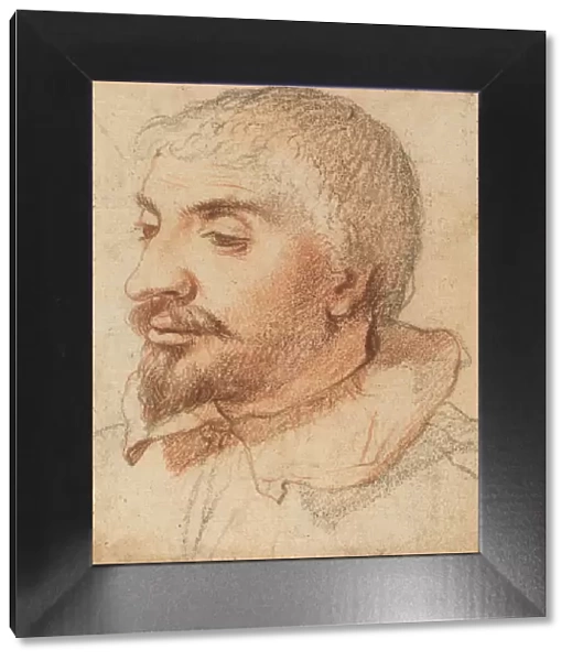Head of a Man, c. 1600. Creator: Unknown