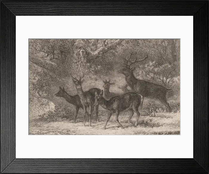 Framed Print : Le harde. Creator: Karl Bodmer Framed Print : Le harde. Creator: Karl Bodmer