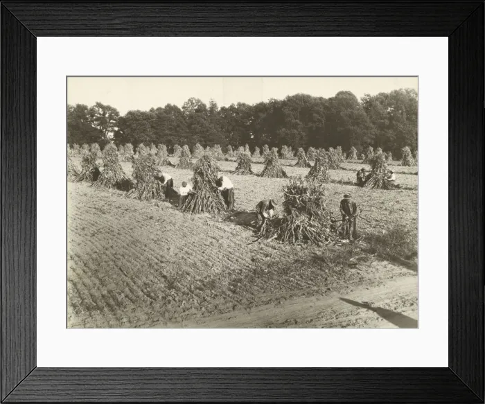 Framed Print : Untitled, ca. 1935. Creator: Lewis Wickes Hine Framed Print : Untitled, ca. 1935. Creator: Lewis Wickes Hine