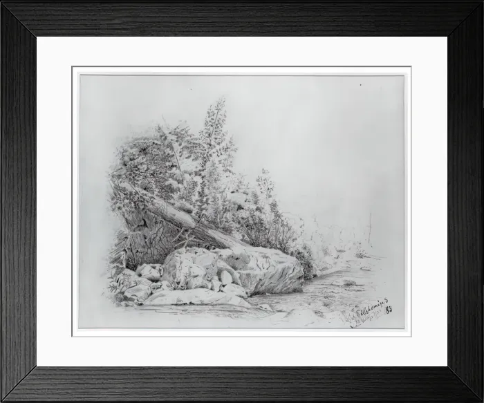 Framed Print : Fallen Tree, Keene Valley, July 25, 1883. Creator: Louis Michel Eilshemius