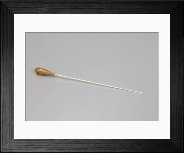 Framed Print : Baton used by Dr. Issac Greggs with The Human Jukebox marching band, ca. 2000 Framed Print : Baton used by Dr. Issac Greggs with The Human Jukebox marching band, ca. 2000