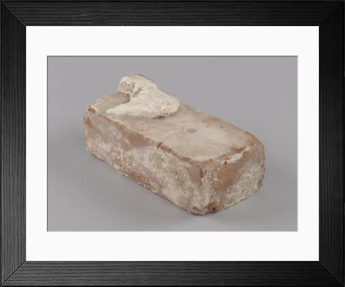 Framed Print : Building brick from Bethune-Cookman Universitys White Hall, ca. 1916. Creator: Unknown Framed Print : Building brick from Bethune-Cookman Universitys White Hall, ca. 1916. Creator: Unknown