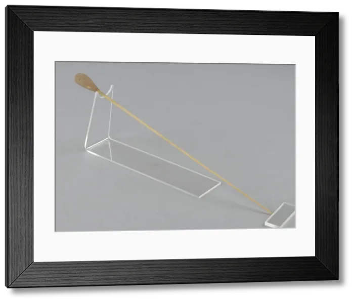 Framed Print : Conductors baton used by James DePreist, 1965-2013. Creator: Unknown Framed Print : Conductors baton used by James DePreist, 1965-2013. Creator: Unknown