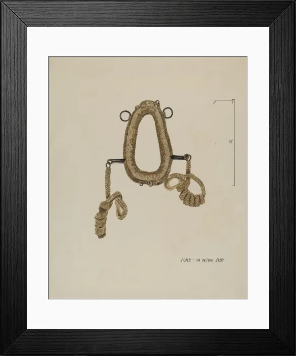 Framed Print : Collar For Burro, c. 1936. Creator: Roberta Elvis Framed Print : Collar For Burro, c. 1936. Creator: Roberta Elvis