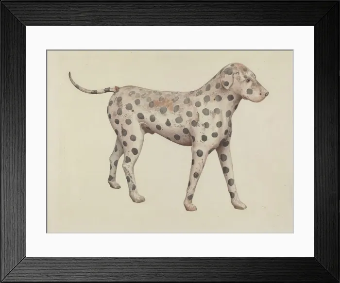 Framed Print : Dalmatian, 1935 / 1942. Creator: Betty Fuerst Framed Print : Dalmatian, 1935 / 1942. Creator: Betty Fuerst