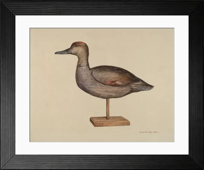 Framed Print : Gadwall Decoy, c. 1939. Creator: Samuel W. Ford Framed Print : Gadwall Decoy, c. 1939. Creator: Samuel W. Ford