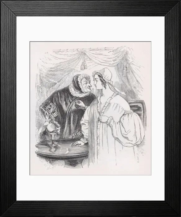 Framed Print : The Spanish Fly from The Complete Works of Beranger, 1836 Framed Print : The Spanish Fly from The Complete Works of Beranger, 1836