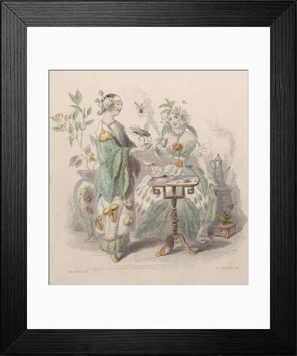 Framed Print : The& Cafe, from Les Fleurs Animees, 1847 Framed Print : The& Cafe, from Les Fleurs Animees, 1847