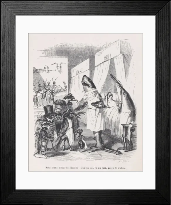 Framed Print : We are going to incise the muscles, saw the bones, in a word, heal the sick from Sc Framed Print : We are going to incise the muscles, saw the bones, in a word, heal the sick from Sc