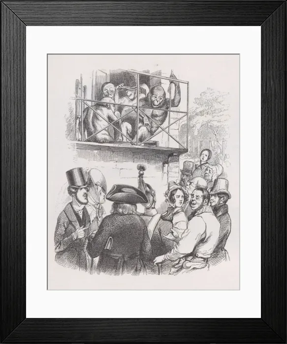 Framed Print : Orangutans from The Complete Works of Beranger, 1836 Framed Print : Orangutans from The Complete Works of Beranger, 1836
