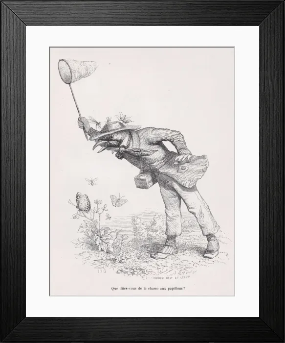 Framed Print : What do you say about the butterfly hunt? from Scenes from the Private and Public L Framed Print : What do you say about the butterfly hunt? from Scenes from the Private and Public L