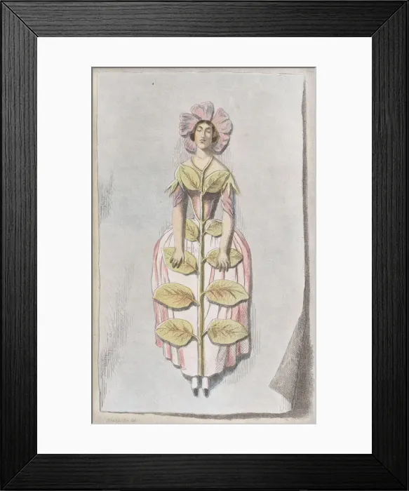 Framed Print : Pervenche Dessechee, from Les Fleurs Animees, 1847. 1847 Framed Print : Pervenche Dessechee, from Les Fleurs Animees, 1847. 1847
