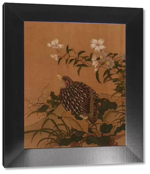 Quail and flowers, Qing dynasty, 18th century. Creator: Unknown