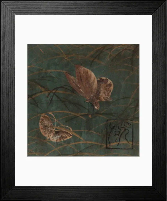 Framed Print : Butterflies and grasses, Edo period, early 17th century. Creator: Hon'ami Koetsu Framed Print : Butterflies and grasses, Edo period, early 17th century. Creator: Hon'ami Koetsu