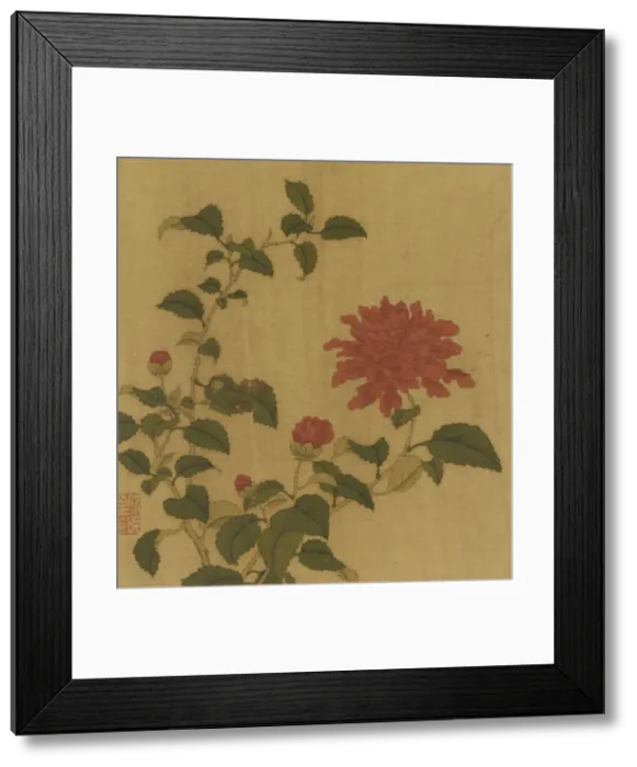 Framed Print : Red Peony, Qing dynasty, 18th century. Creator: Unknown Framed Print : Red Peony, Qing dynasty, 18th century. Creator: Unknown