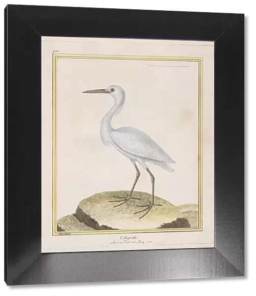 L Aigrette (Egret), 1770-86. Creator: Francois Nicolas Martinet