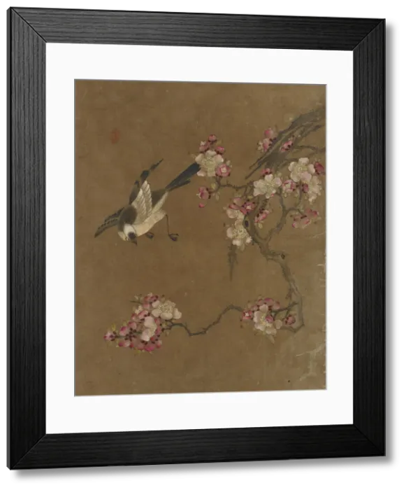 Framed Print : Birds and Flowers, Ming dynasty, 1368-1644. Creator: Unknown Framed Print : Birds and Flowers, Ming dynasty, 1368-1644. Creator: Unknown