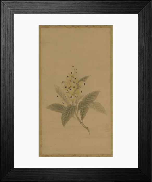 Framed Print : A branch of medlars, Edo period, 17th century. Creator: Kano Tan'yu Framed Print : A branch of medlars, Edo period, 17th century. Creator: Kano Tan'yu