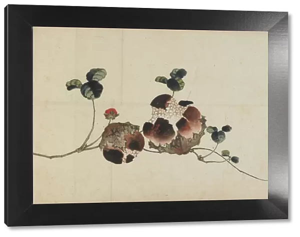 Pomegranates, late 18th-early 19th century. Creator: Hokusai