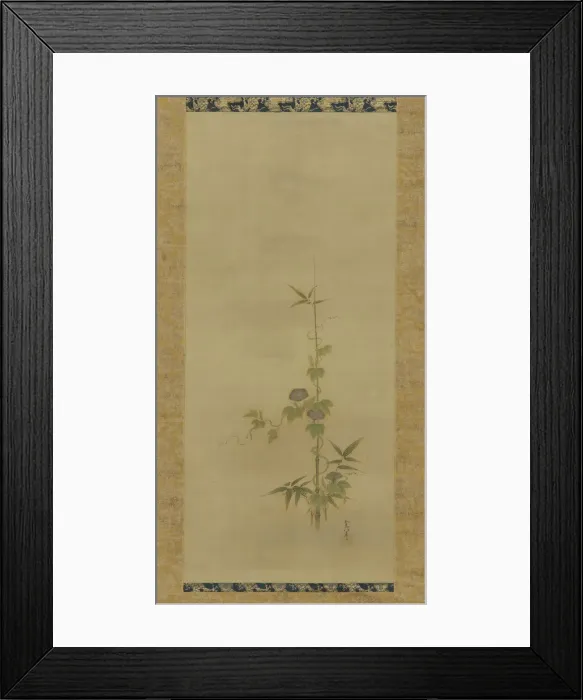 Framed Print : Morning glory and bamboo (part of a set), Edo period, mid 17th-early 18th century. Creator: Kano Yoboku Tsunenobu Framed Print : Morning glory and bamboo (part of a set), Edo period, mid 17th-early 18th century. Creator: Kano Yoboku Tsunenobu