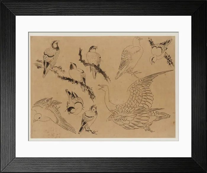 Framed Print : Birds, Edo period, late 18th-early 19th century. Creator: Hokusai Framed Print : Birds, Edo period, late 18th-early 19th century. Creator: Hokusai