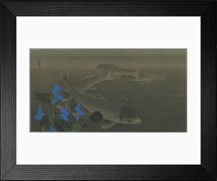 Framed Print : Carp, Edo period, early 19th century. Creator: Kuroda Toko Framed Print : Carp, Edo period, early 19th century. Creator: Kuroda Toko
