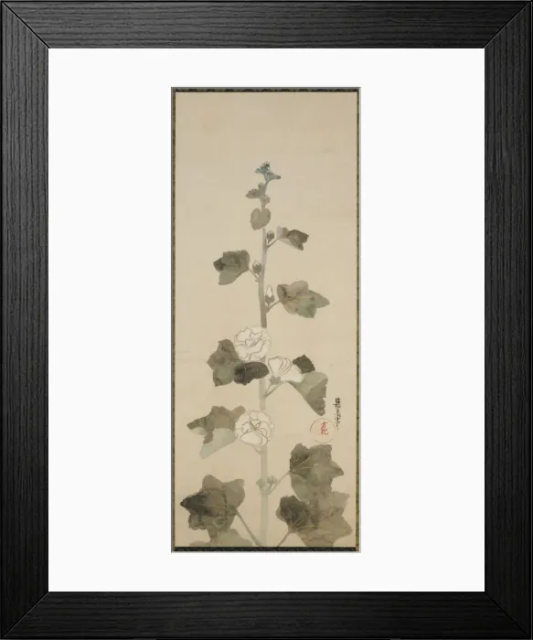 Framed Print : White hollyhocks, Edo period, late 17th-early 18th century. Creator: Ogata Korin Framed Print : White hollyhocks, Edo period, late 17th-early 18th century. Creator: Ogata Korin