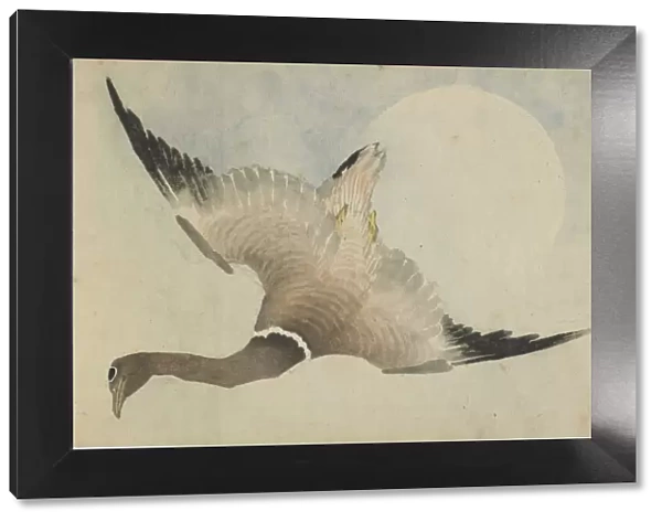 Goose flying in front of the moon, late 18th-early 19th century. Creator: Hokusai