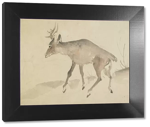 Deer, late 18th-early 19th century. Creator: Hokusai