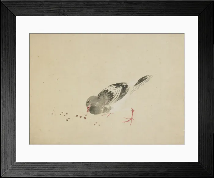 Framed Print : Pigeon, late 18th-early 19th century. Creator: Hokusai Framed Print : Pigeon, late 18th-early 19th century. Creator: Hokusai