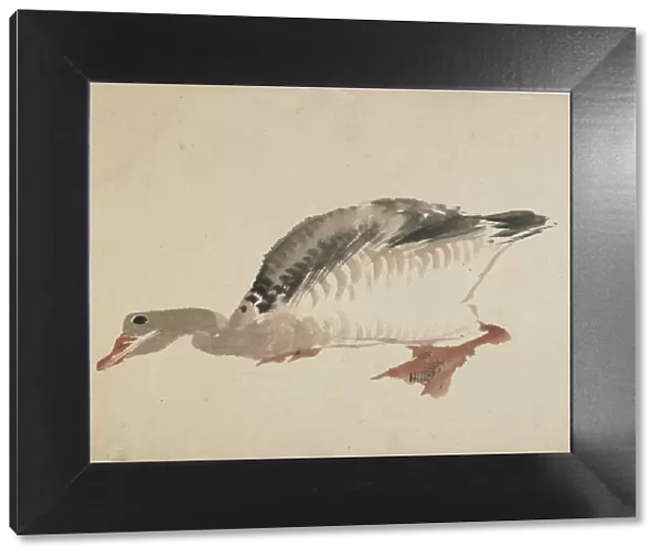 Goose, late 18th-early 19th century. Creator: Hokusai