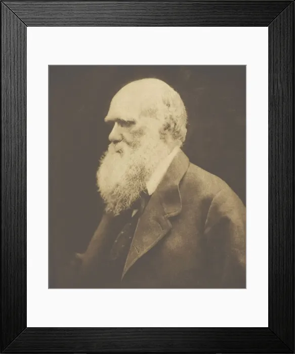 Framed Print : Charles Darwin, 1868, printed c. 1893. Creator: Julia Margaret Cameron Framed Print : Charles Darwin, 1868, printed c. 1893. Creator: Julia Margaret Cameron