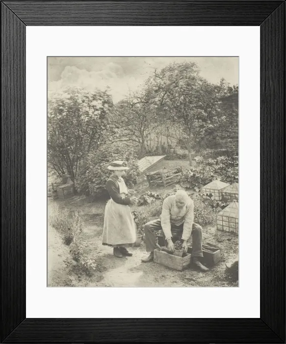 Framed Print : A Garden End (Suffolk), c. 1883 / 87, printed 1888. Creator: Peter Henry Emerson Framed Print : A Garden End (Suffolk), c. 1883 / 87, printed 1888. Creator: Peter Henry Emerson